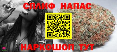 гашик Ливны